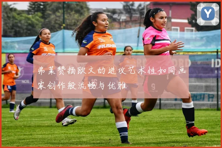 弗莱赞扬欧文的进攻艺术性如同画家创作般流畅与优雅