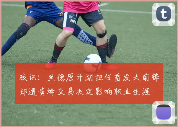 狼记：里德原计划担任首发大前锋却遭黄蜂交易决定影响职业生涯